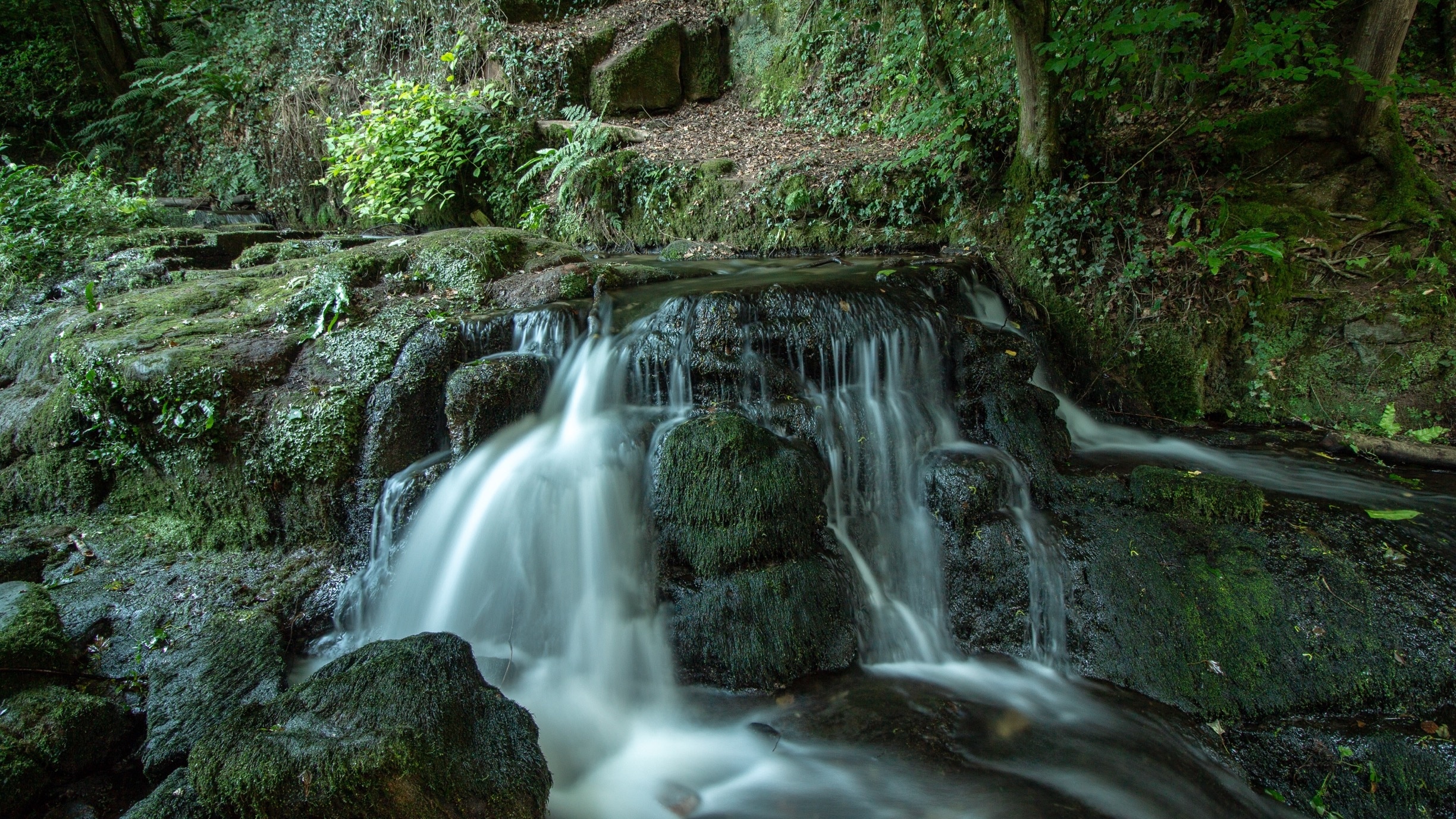 Foto av Zander Round