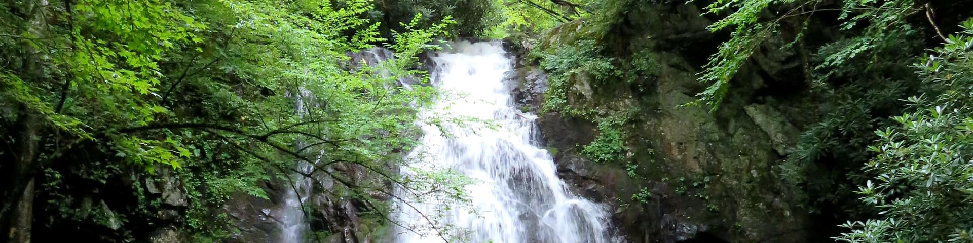 Short hike to see this beautiful 30ft waterfall
#nature