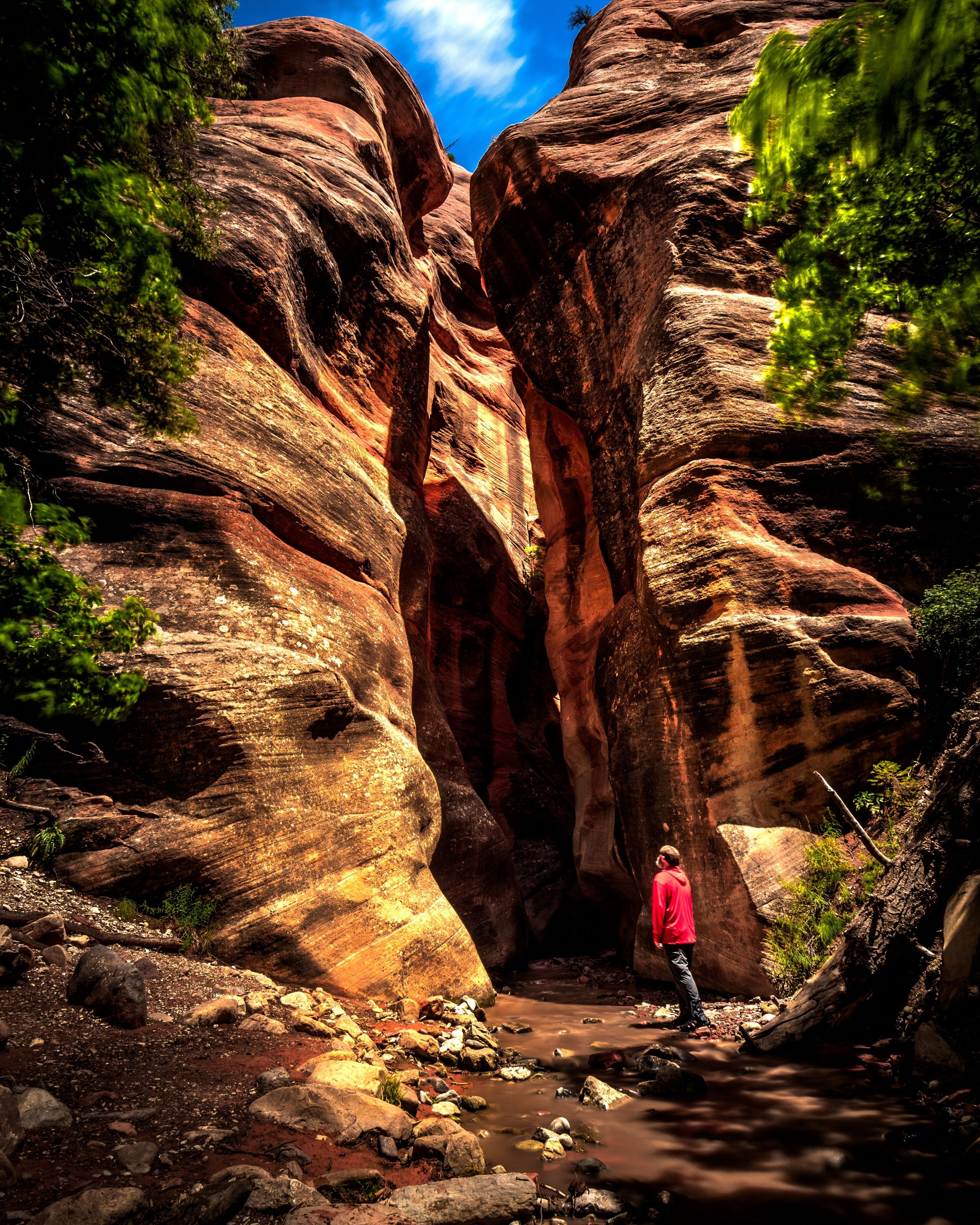 What to do in Utah - What to Do in Cedar City