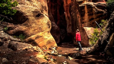 Entrance to the slot canyons 