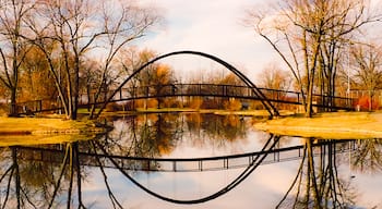 This spot is an ice rink in the winter but a beautiful place to spend the day in the city of Madison #adventure