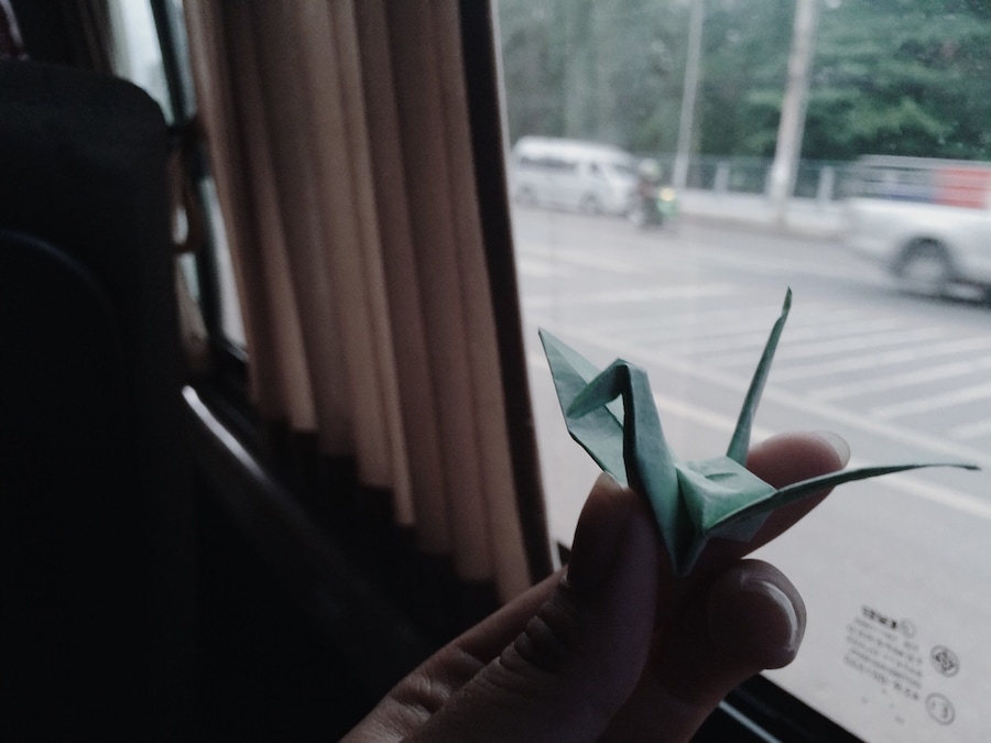 I want to fly like a baby bird ❤️