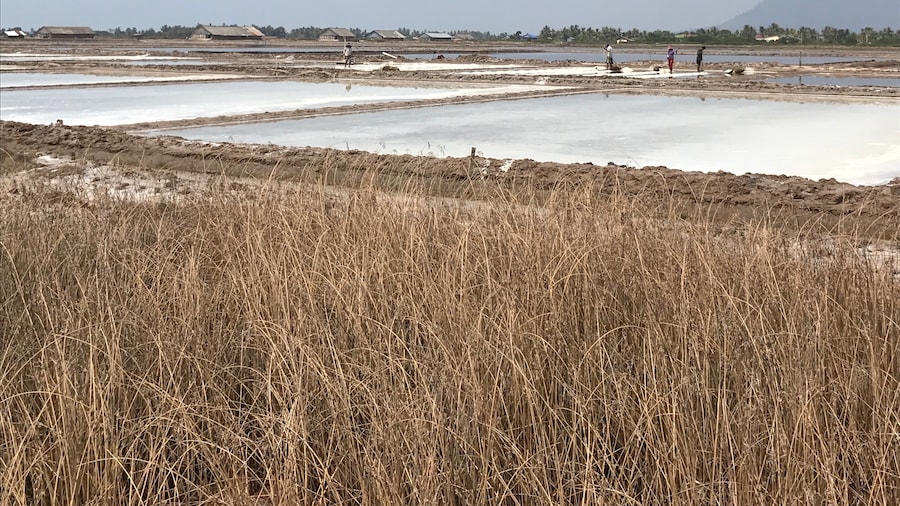 Kampot Salt Fields