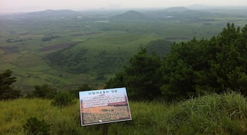 Darangshi Oreum
it is located northern east in Jeju ireland of 
South korea.
Good scenery view
