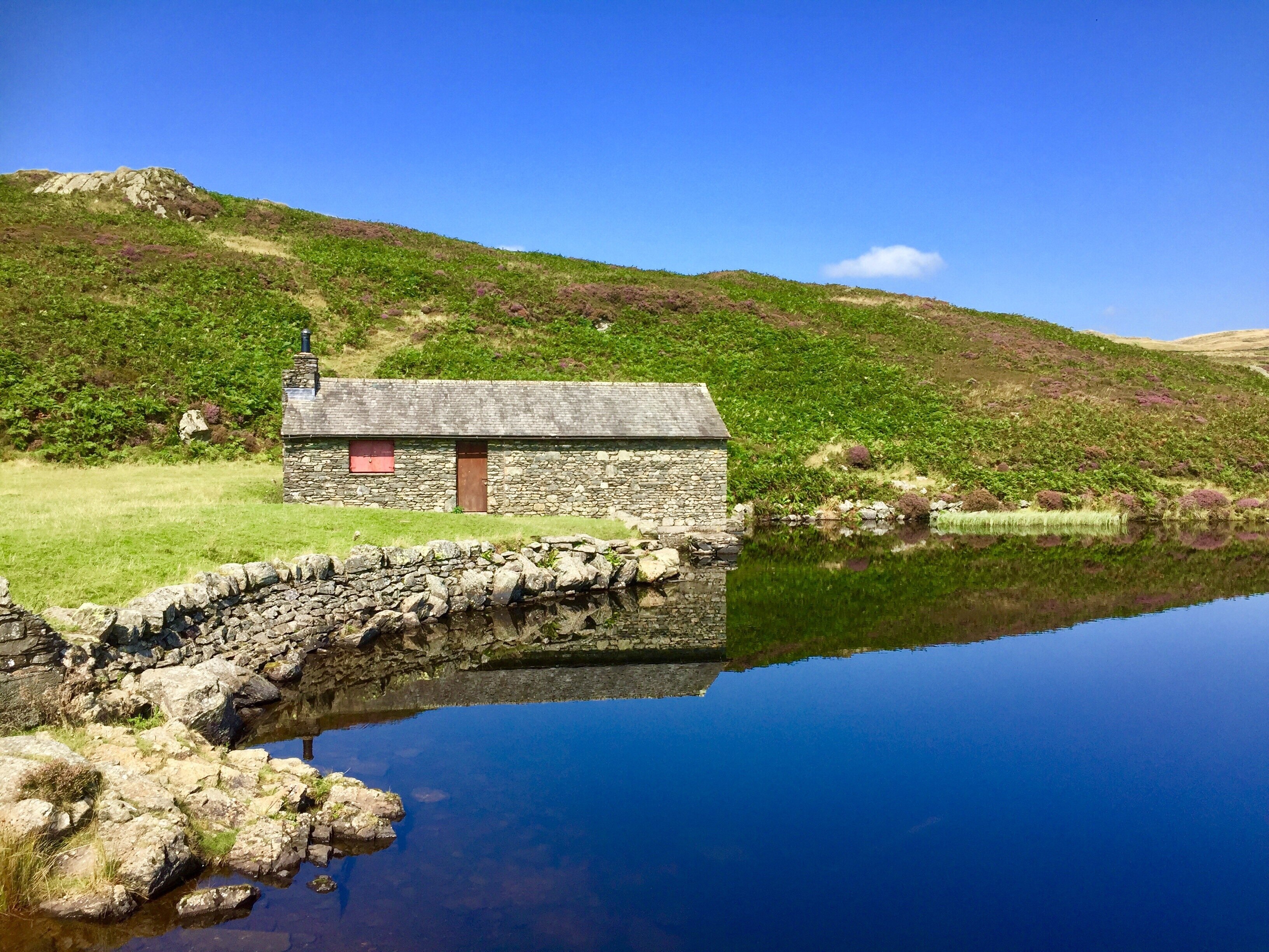 Foto av Kathy Appleby