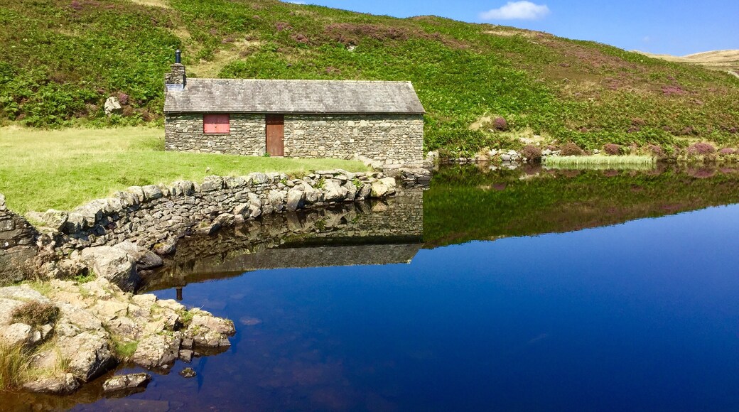 Foto av Kathy Appleby