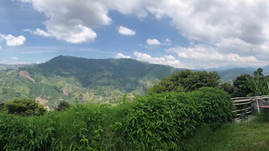 Cafe Tio Conejo... view from the veranda...