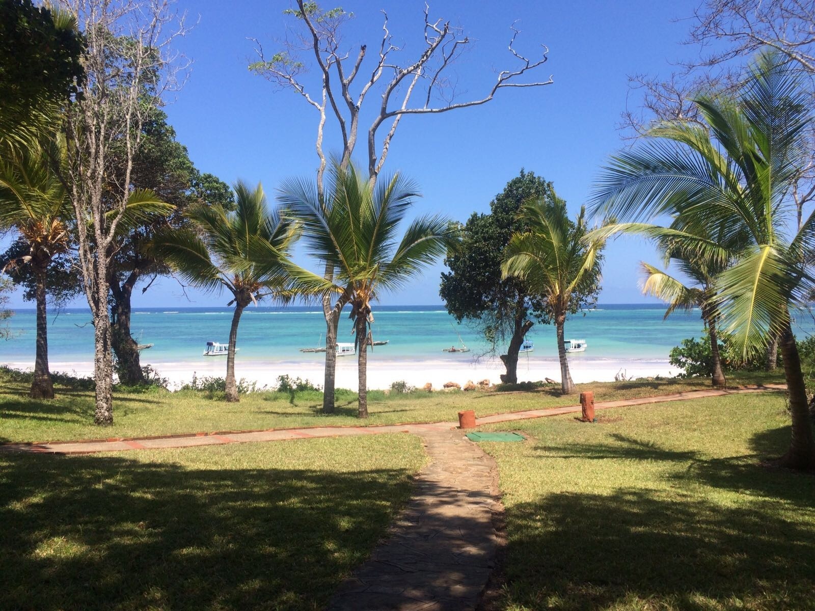 THE 10 BEST Things to Do in Diani Beach for Couples (Updated 2023)