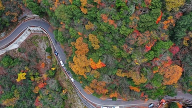The valley is a famous travelling spot in Tokushima and the colourful autumn leaves attracted me to visit it.