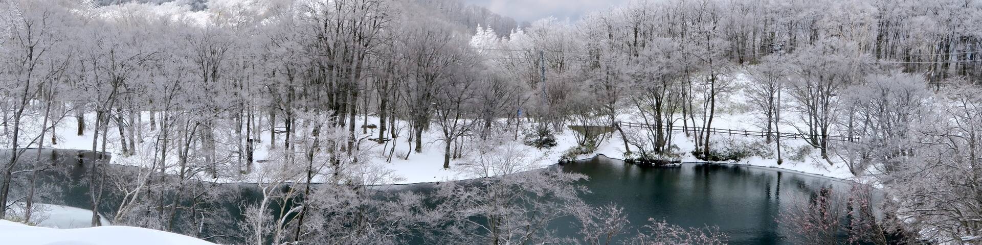 Winter vacation skiing in Japan ,Zao