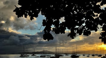 O pôr do sol em Santo Antônio de Lisboa é muito concorrido e extremamente bonito. Local ótimo para algumas boas fotografias. Depois do pôr do sol nada melhor que jantar em um dos muitos restaurantes de frutos do mar.

#florianopolis #pordosol #sunset #santacatarina #santoantoniodelisboa #Golden