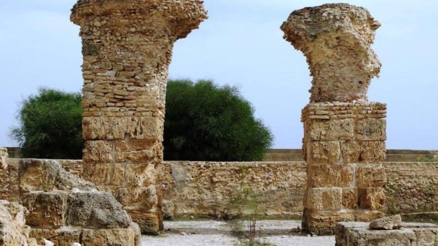 #carthage