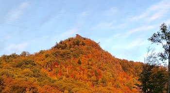 Fall sunset at Mont Tremblant. 
#Golden