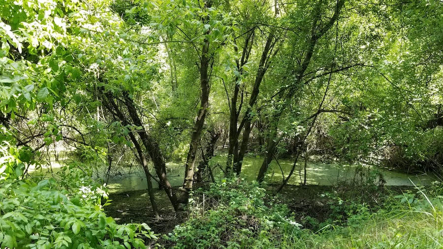 Beautiful and easy hikes for all ages. Hidden gem in the valley.