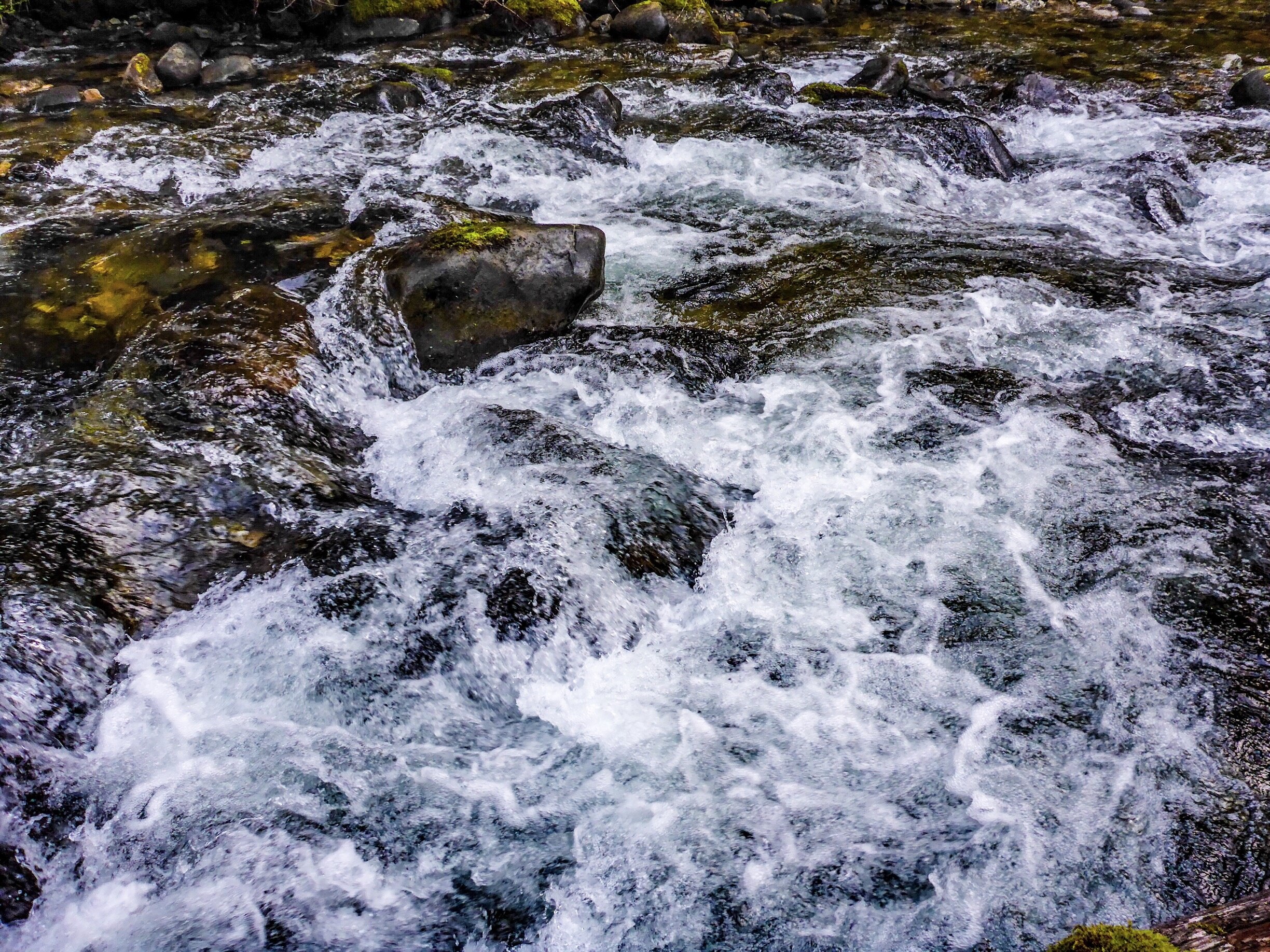 Photo by Charles Arcudi