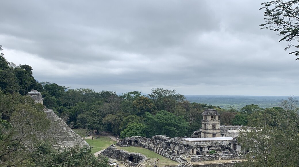 Palenque Archaeological Zone, Palenque, Chiapas, Mexico