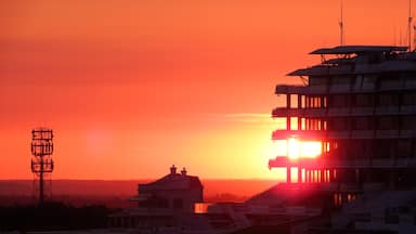 Setting sun shining through the windows of Epsom Racecourse grandstand. The course is open to walkers (and their dogs) until dusk. Always best to carry a camera, just in case! #perspective 