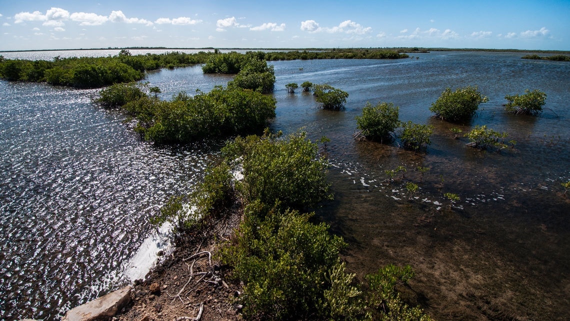 ZAPATA CIENAGA (Matanzas)