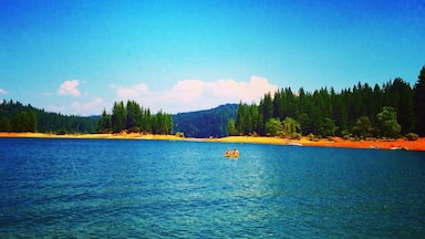 Jenkins Lake. Nor Cal has some beautiful spots to wade around in the water all day.