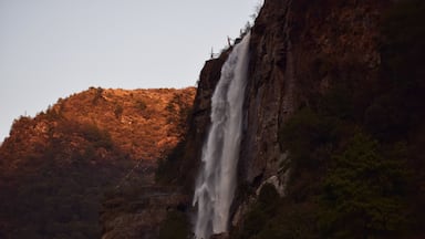 Nuranang waterfalls from Cona, Shannan, Arunachal Pradesh, India. Beautiful waterfall in all it's glory.

#travelblogger #traveller #northeastindia #arunachalpradesh 