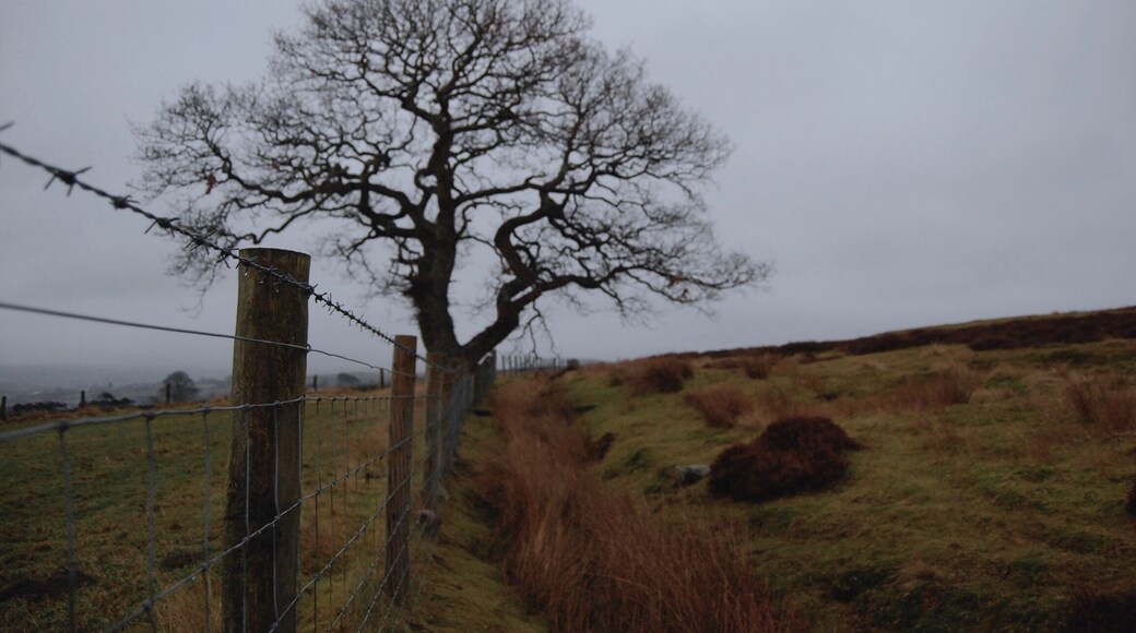 Photo by Maddie Metcalfe