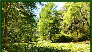 Loved all the swinging bridges and trails and the fabulous greenery #TakeAHike 