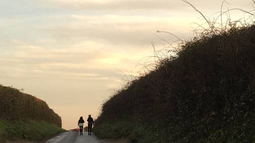 Billede taget af Snowflake12