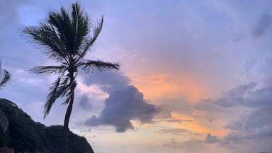 So, if you stay at Isla Navidad you can ask at the reception for someone to take you to this beautiful virgin private beach they have over there, the sunsets are amazing. #sunset #blue #purple #orange #sky #palmtree #sea #beach #mexico #privatebeach #virginbeach