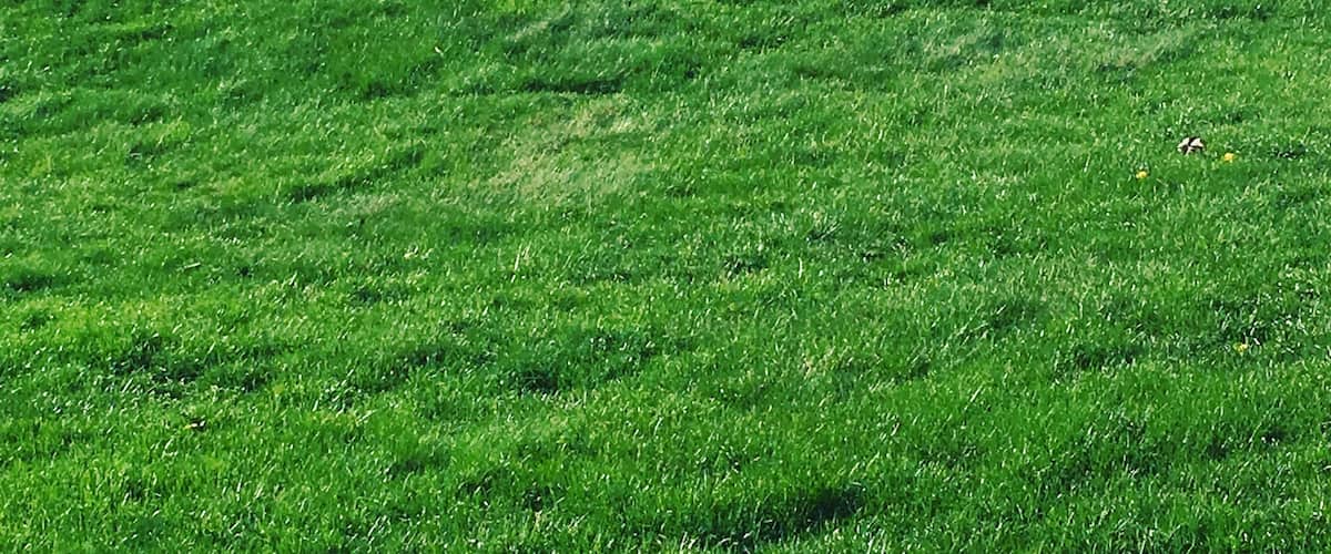 #green