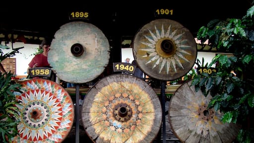 Foto por Sérgio Veludo