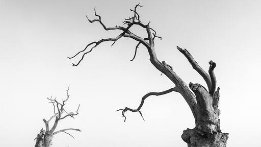 Foto av Simon Gooderham