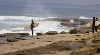 Winter storm hits San Diego. Great place to see some great surfing by San Diego locals.
#waterlust