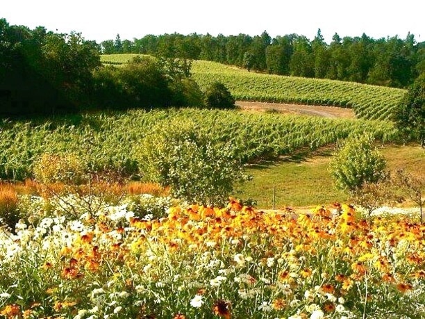 Beautiful winery and great selection of wines. We enjoyed the tasting and lunch.  One of my favorites is Cali's Cuvée 2012.

Great place to visit if you happen to be at the Willamette Valley area.