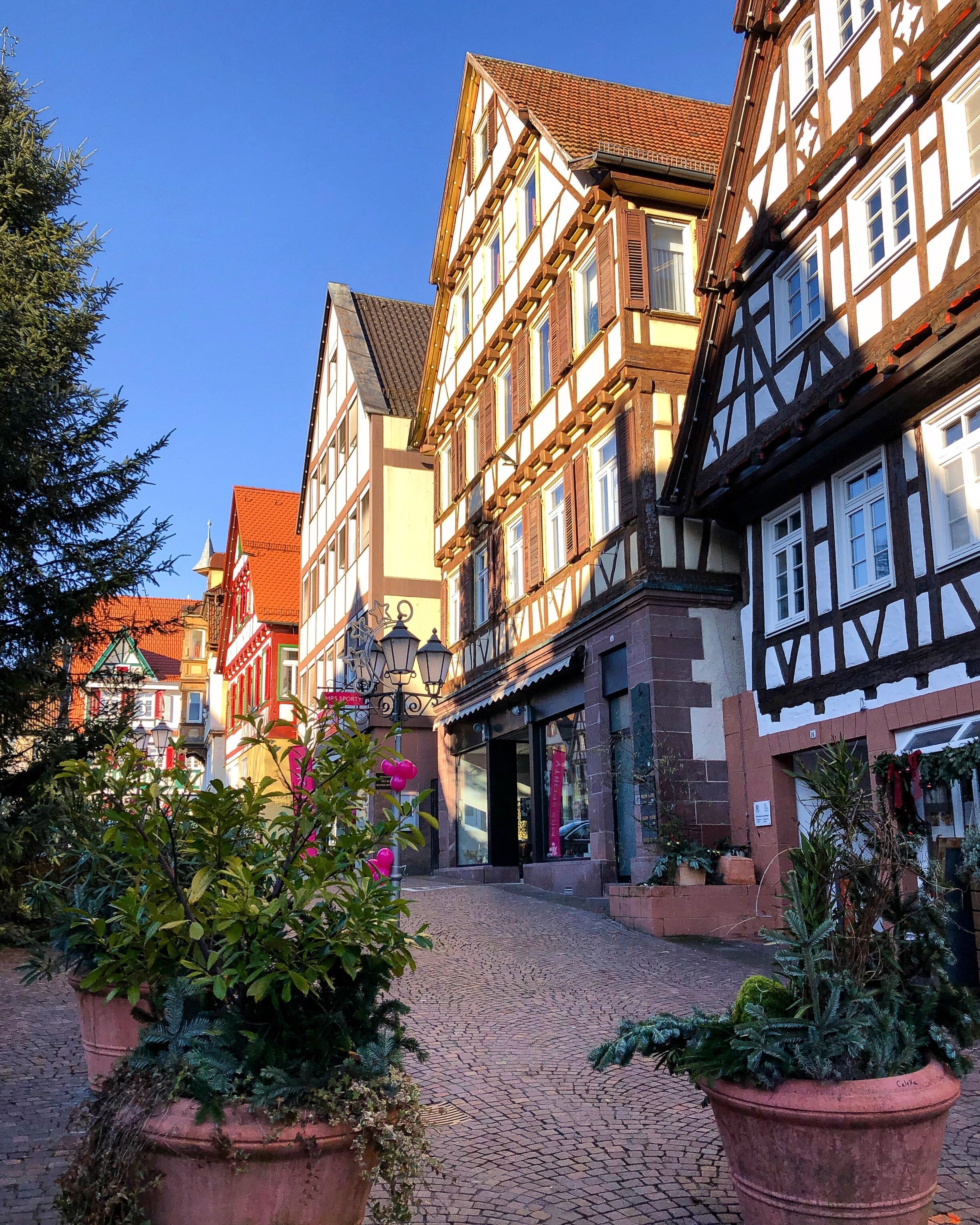 Tierfreundliche Hotels in Calw, BadenWürttemberg Hotels