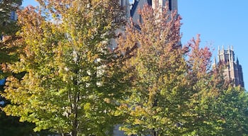 A beautiful fall day at the University of Marquette