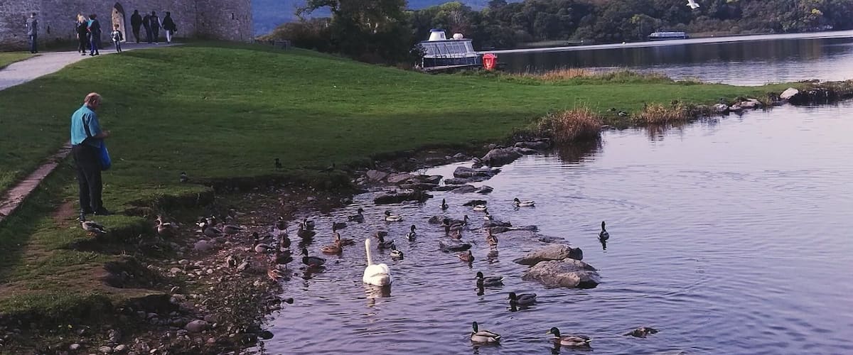 #lifeatexpedia #Ireland #killarney