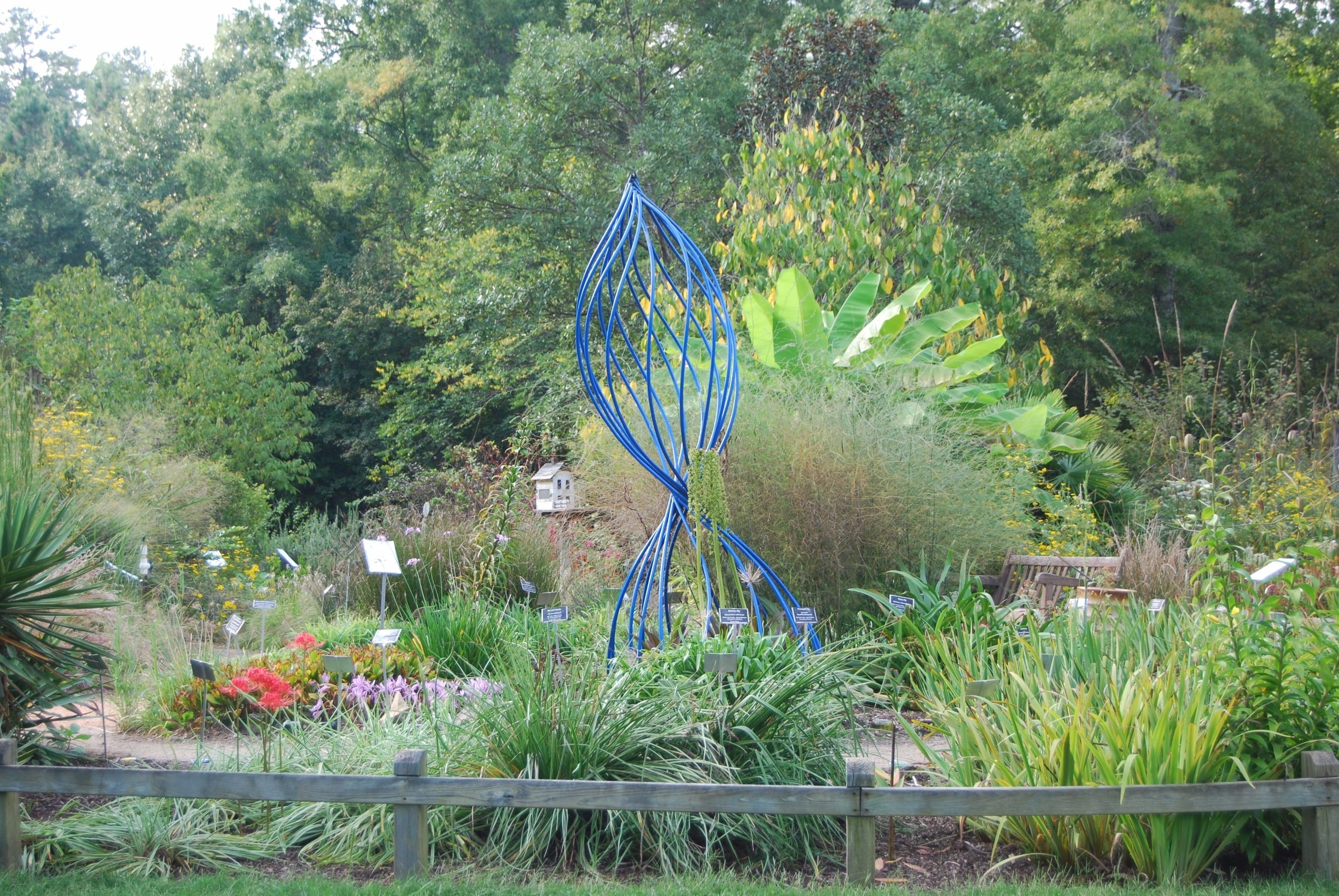North Carolina Botanical Garden (jardin botanique), Chapel Hill, Caroline du Nord, États-Unis d'Amérique