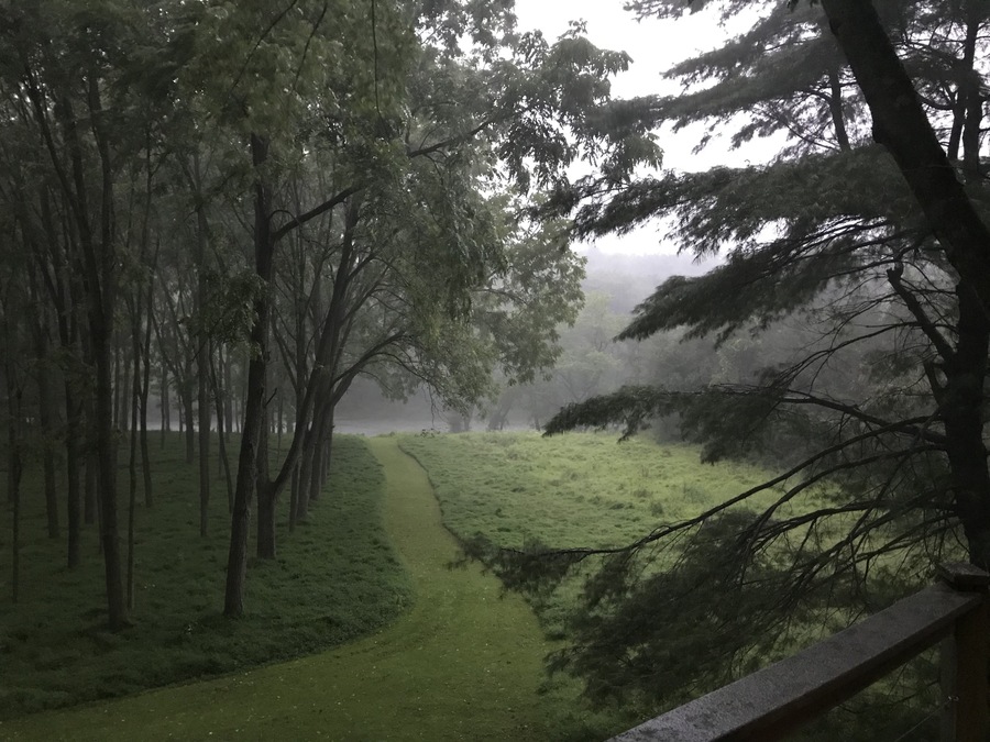 A sudden simmer thunderstorm... it had been sunny and hot just a couple of hours earlier.