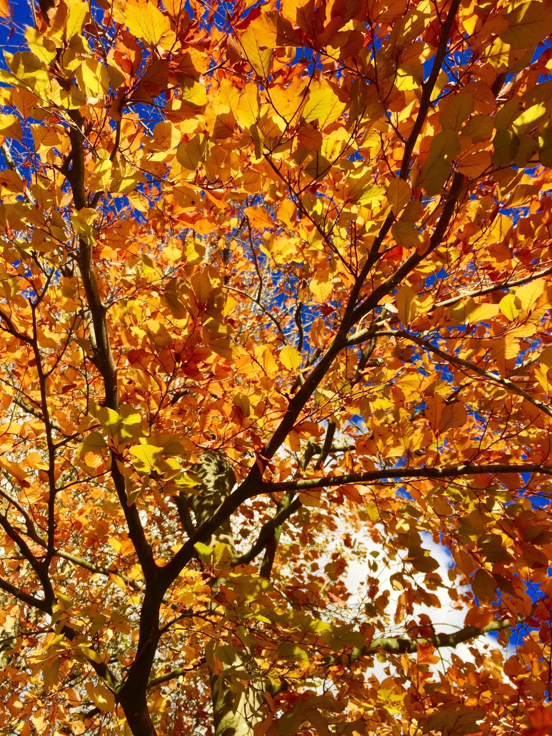 Valokuva: Kathy Appleby