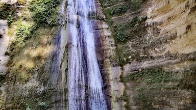 Dau Waterfalls in Samboan town, south of Cebu city.

My favorite waterfalls in the province of Cebu.

#cebu #philippines #chasingwaterfalls