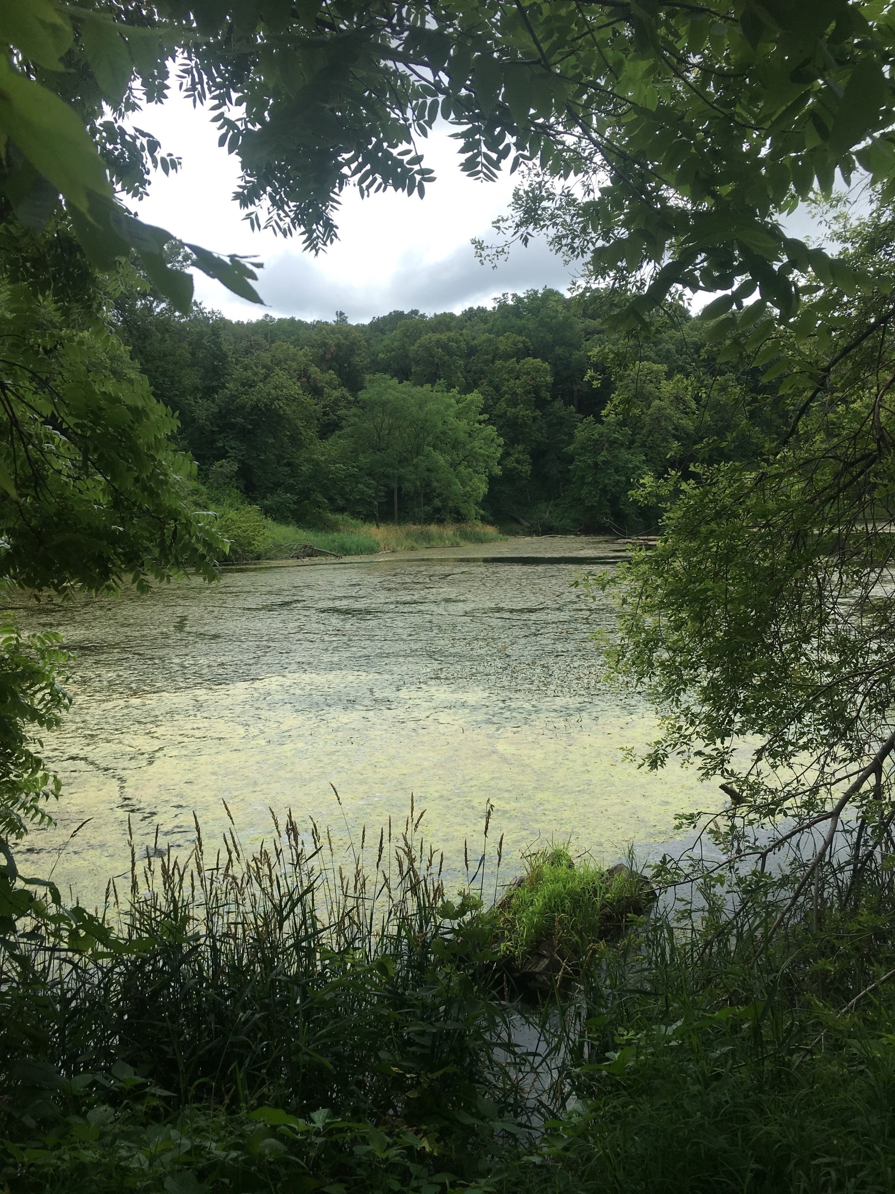 Easy hike to get to Turtle Lake in Stone State Park #hiking