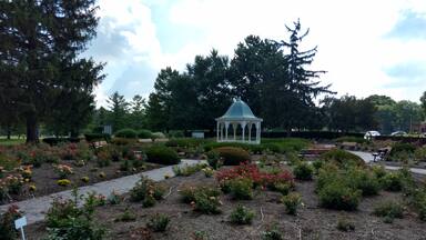 This is a really pretty rose garden on the east side of  Richmond, beside the golf course and Glen Miller Park.
