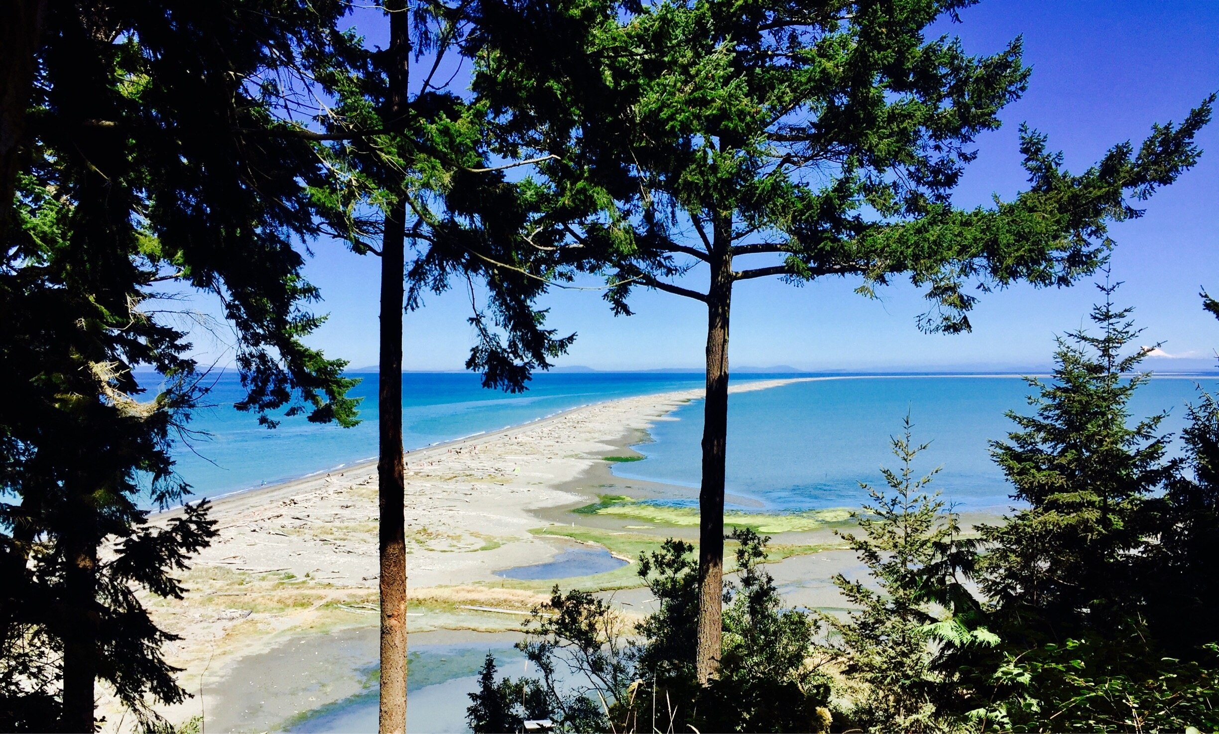Top Sequim beach rentals Washington Vrbo