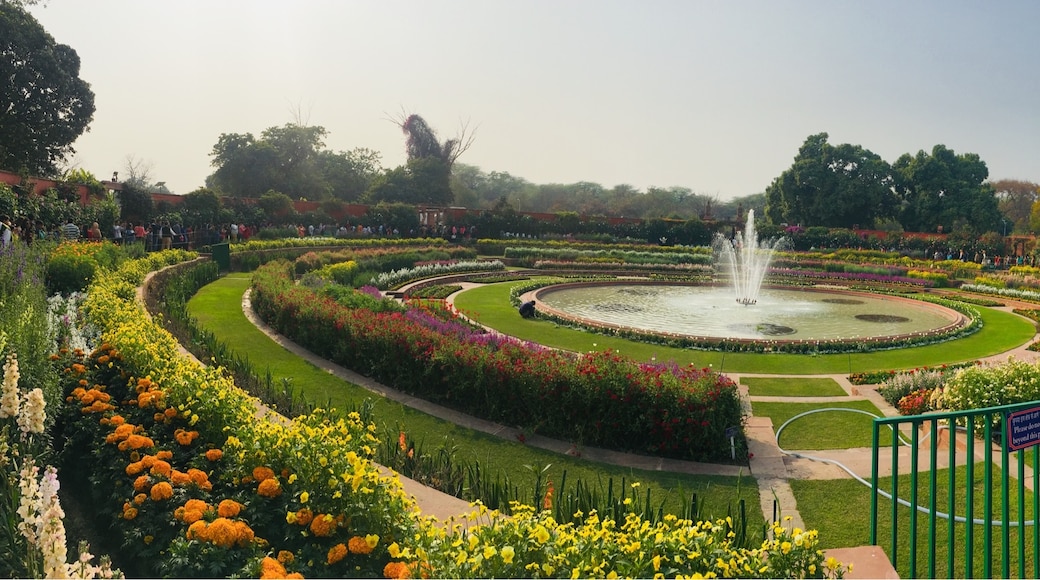 Mughal Gardens, New Delhi, National Capital Territory of Delhi, India