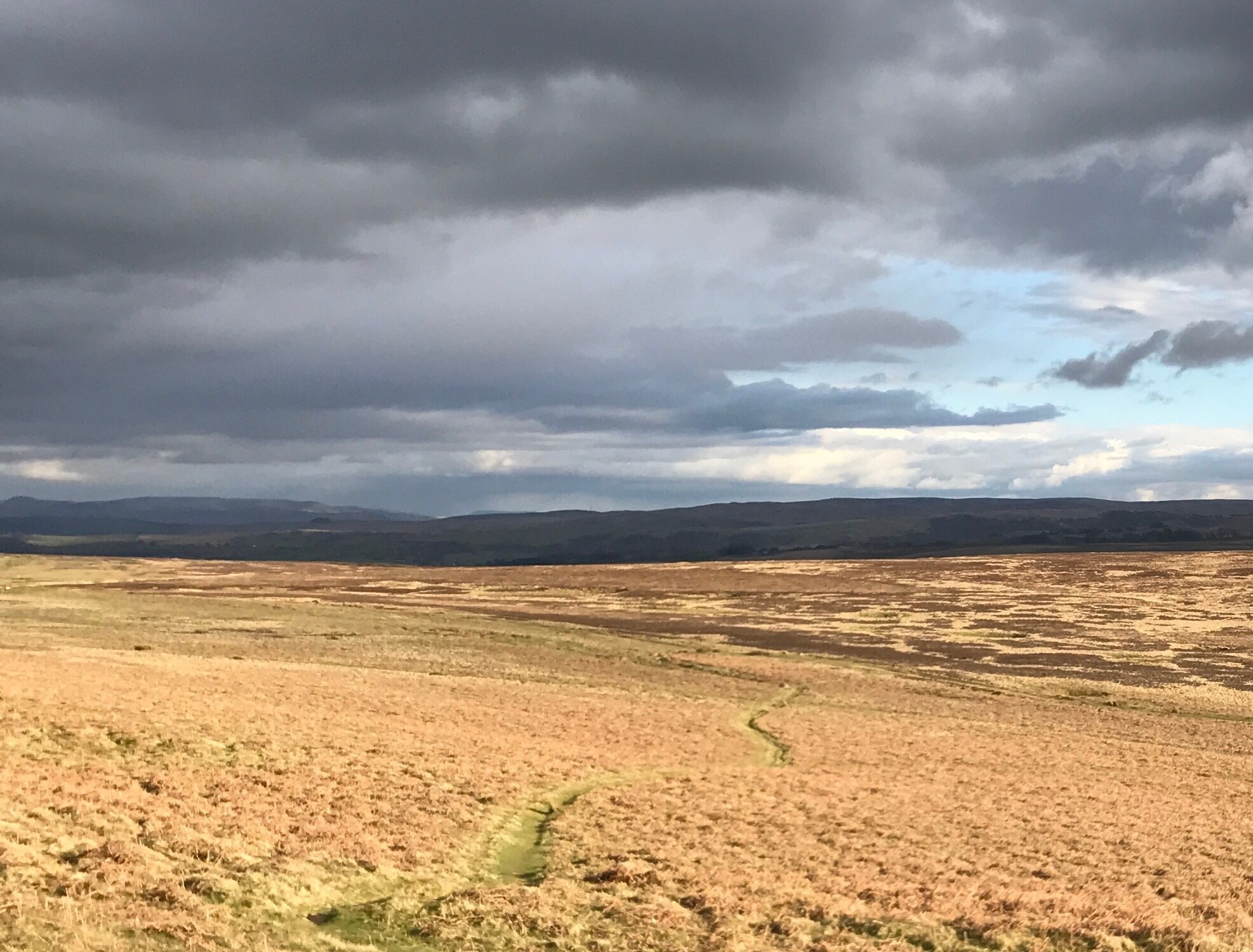 Foto de Darren Crossley