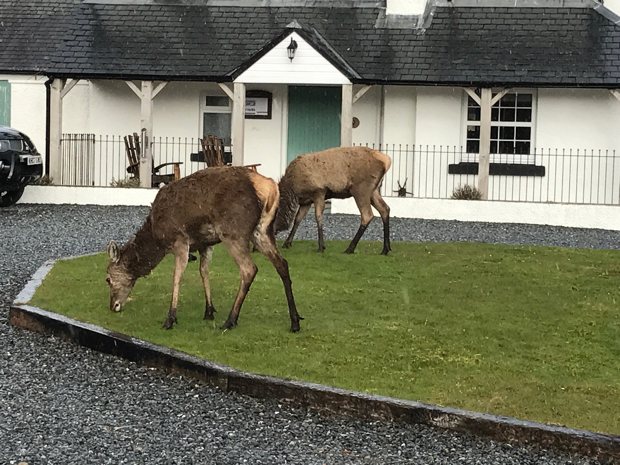 Ferienwohnung Rannoch Moor Pitlochry Ferienhäuser And Mehr Fewo Direkt