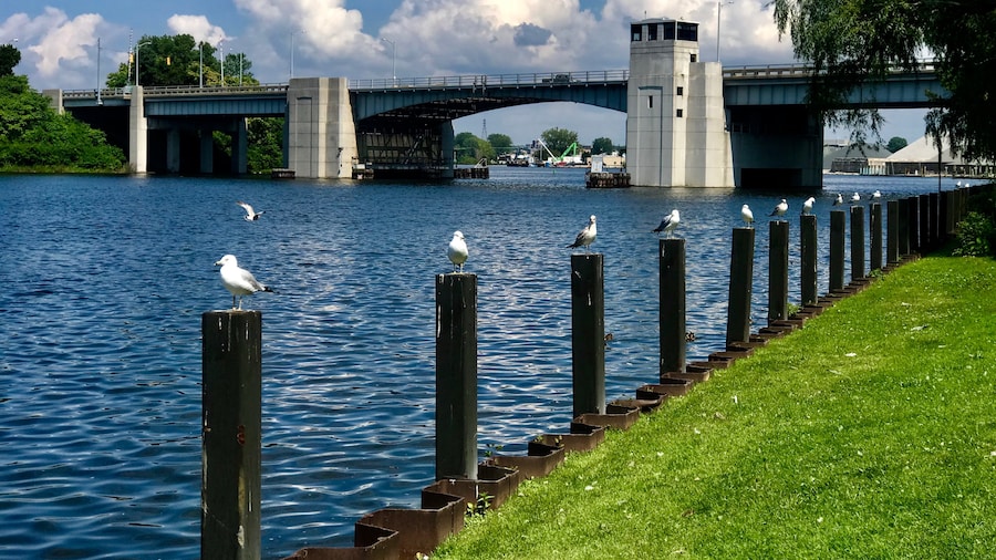 Lake Bluff Park
