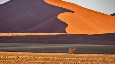 So many dunes along the road, 