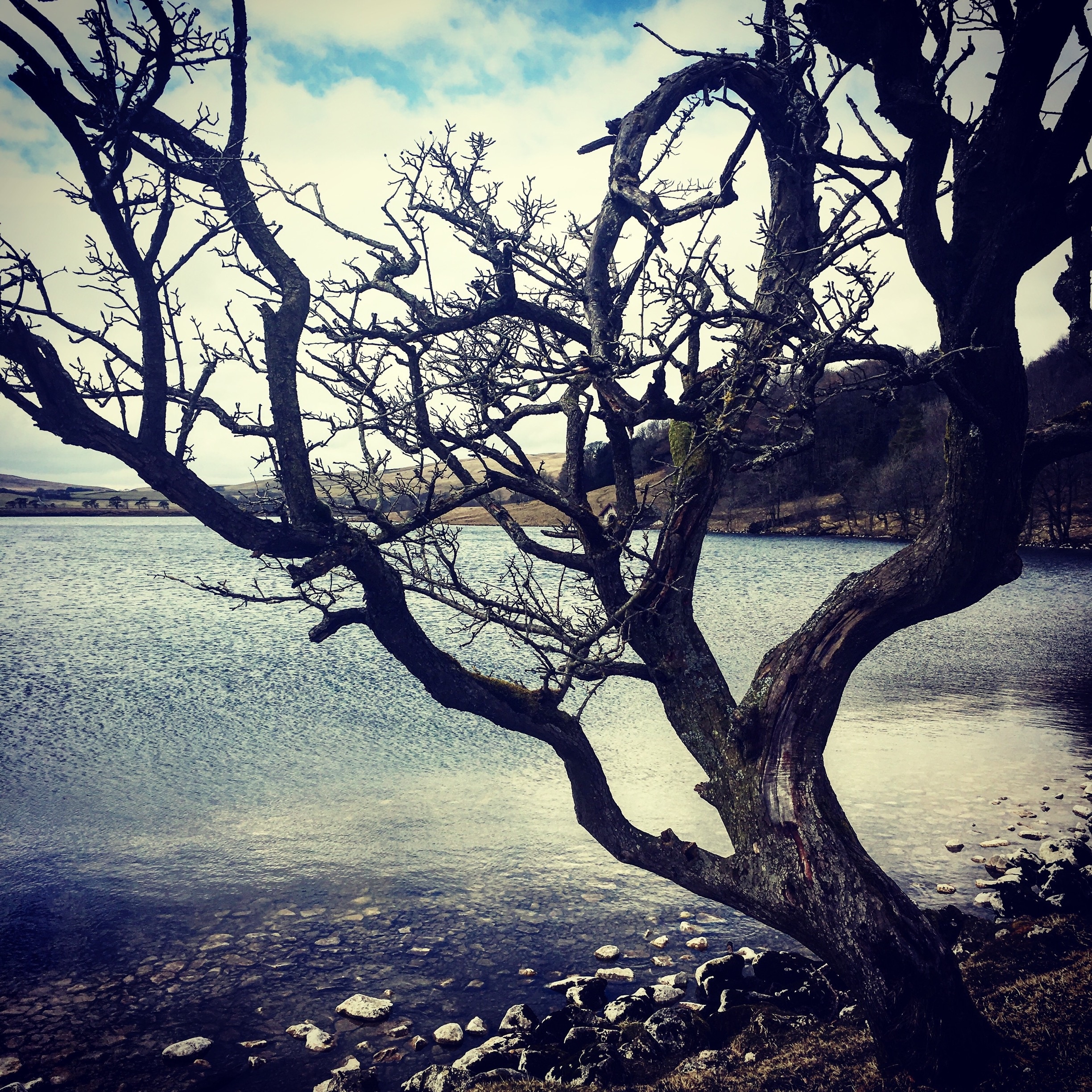 Foto tomada por Julian Matthews