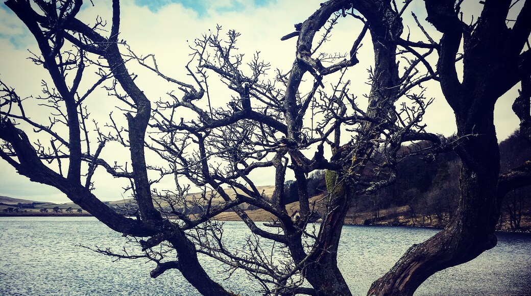 Foto tomada por Julian Matthews